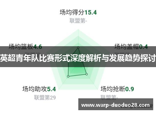 英超青年队比赛形式深度解析与发展趋势探讨