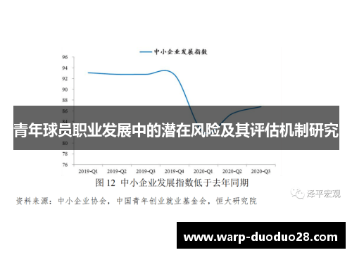 青年球员职业发展中的潜在风险及其评估机制研究 青年球员职业发展中的潜在风险及其评估机制研究